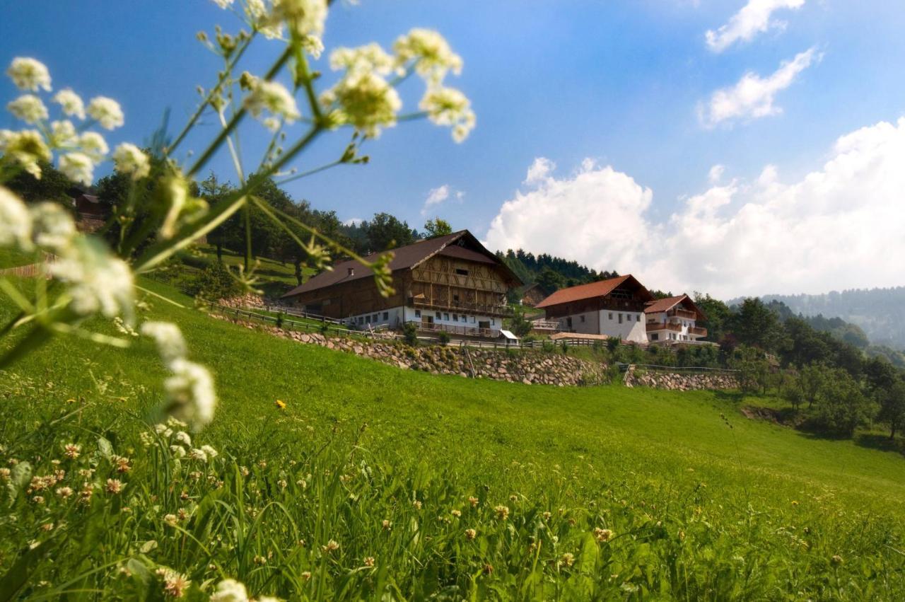 Wargerhof - Urlaub Auf Dem Bauernhof Daire Mölten Dış mekan fotoğraf